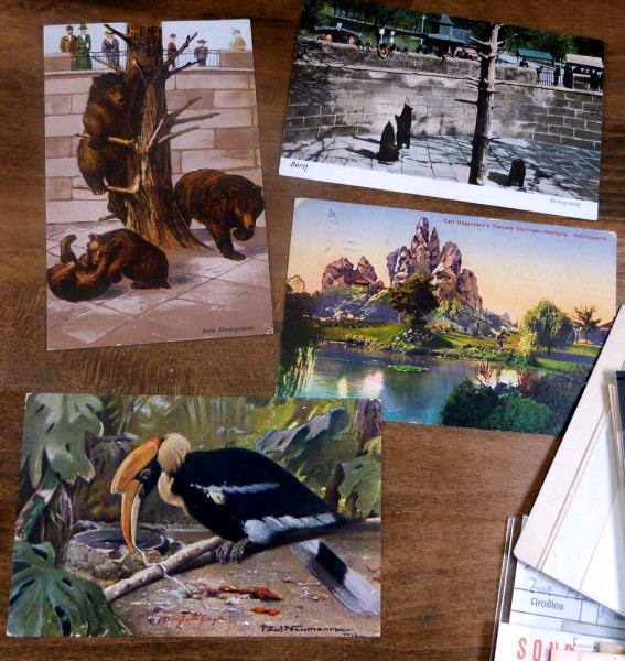 ZOO/Tierparks, 38 Belege, viele Werbe-Stempel ab den 50er-Jahren, tolle alte farbige Ansichtskarten